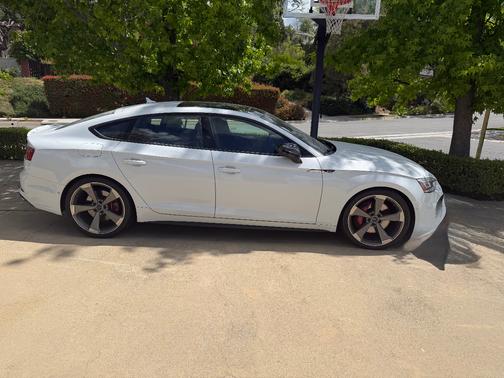 White 2019 Audi S5 3.0T Prestige