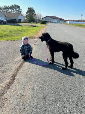 2002 Chevrolet Silverado 2500 LS H/D Crew Cab