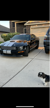 2007 Ford Mustang GT
