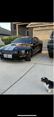 2007 Ford Mustang GT