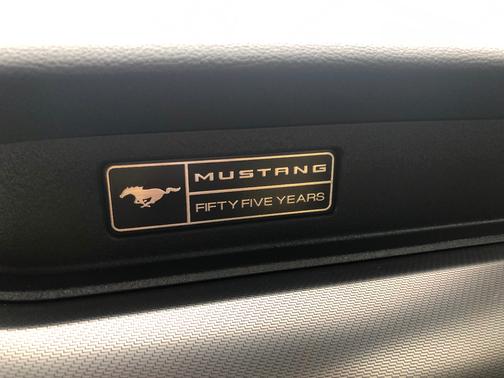 Silver 2020 Ford Mustang GT Premium