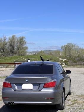 2010 BMW 528 i