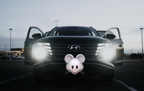 2023 Hyundai TUCSON Hybrid Blue