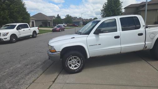 White 2001 Dodge Dakota SLT