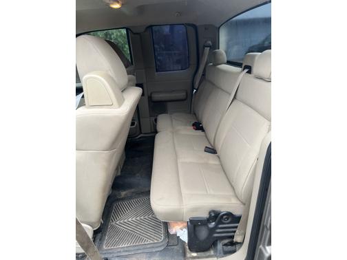 Beige 2006 Ford F-150 XL