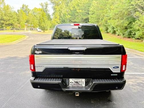 Black 2019 Ford F-150 Platinum