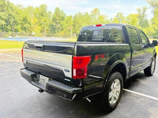 Black 2019 Ford F-150 Platinum