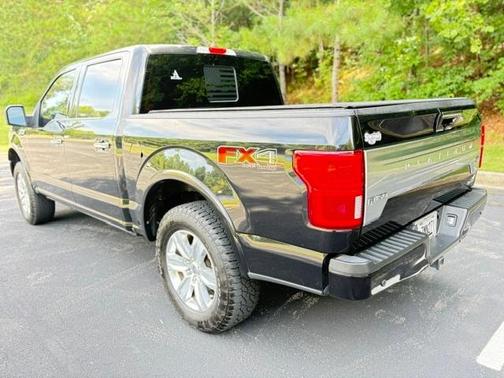 Black 2019 Ford F-150 Platinum