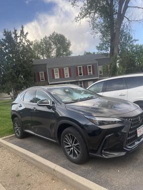 Black 2024 Lexus NX 350 Base
