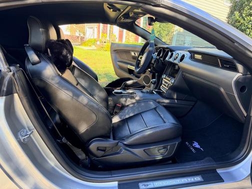 Silver 2022 Ford Mustang EcoBoost Premium