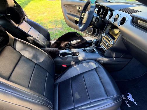 Silver 2022 Ford Mustang EcoBoost Premium