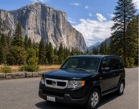 Black 2011 Honda Element EX