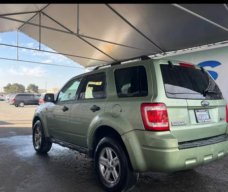 Green 2008 Ford Escape Hybrid Base