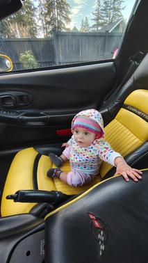 2000 Chevrolet Corvette Base