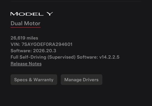 White 2024 Tesla Model Y Performance