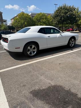 White 2020 Dodge Challenger SXT