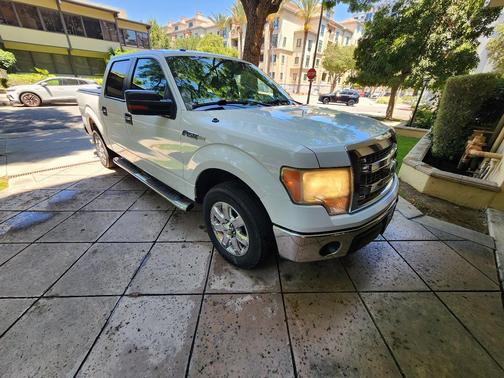 White 2013 Ford F-150 XLT