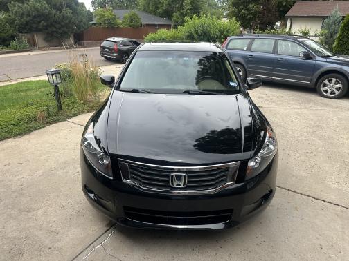 2010 Honda Accord EX-L