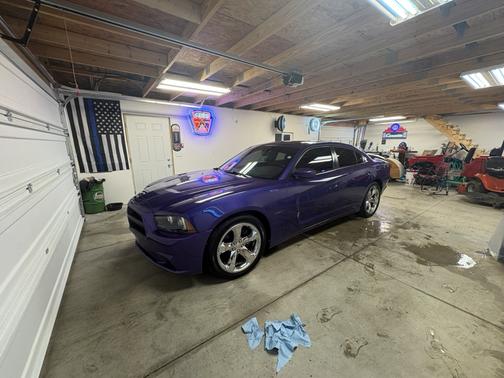 Purple 2014 Dodge Charger R/T