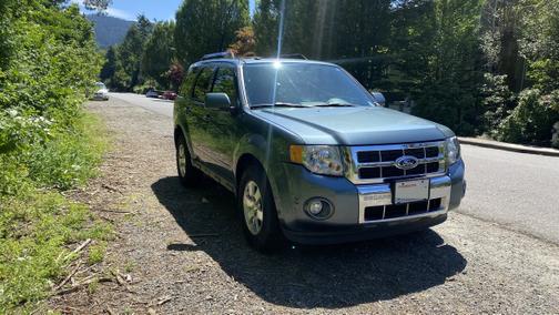 2010 Ford Escape Limited