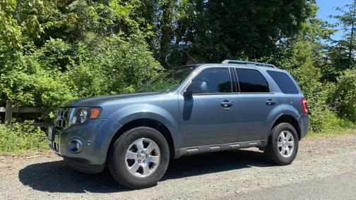 2010 Ford Escape Limited