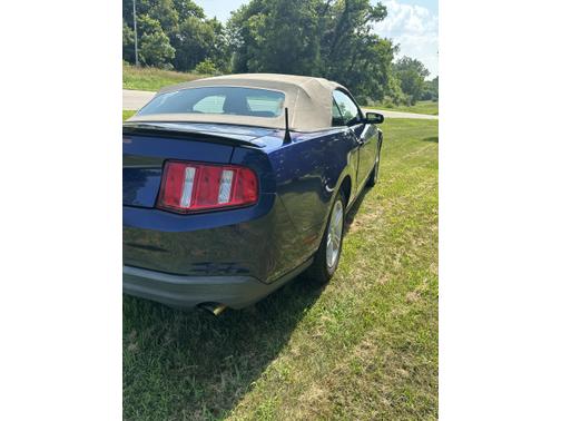 2010 Ford Mustang Base
