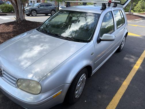 Silver 2004 Volkswagen Golf GL TDI
