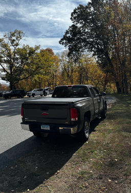 2010 Chevrolet Silverado 1500 LS