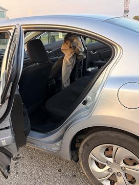 Gray 2013 Honda Civic LX