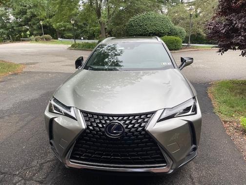 Silver 2019 Lexus UX 250h Base