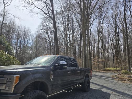 2018 Ford F-250 Platinum