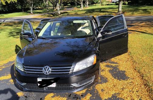 Black 2013 Volkswagen Passat 2.5 SE