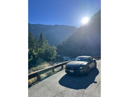 Gray 2019 Ford Mustang EcoBoost Premium