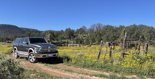 Gray 2014 RAM 1500 Laramie