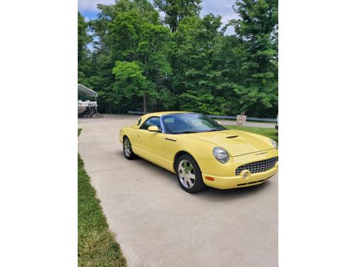 Yellow 2002 Ford Thunderbird Premium