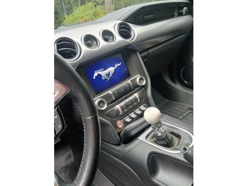 2019 Ford Mustang Bullitt