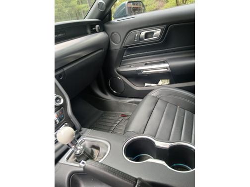 2019 Ford Mustang Bullitt