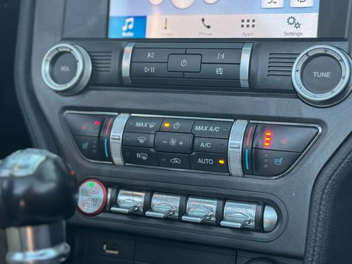 Blue 2019 Ford Mustang GT Premium