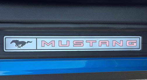 Blue 2019 Ford Mustang GT Premium