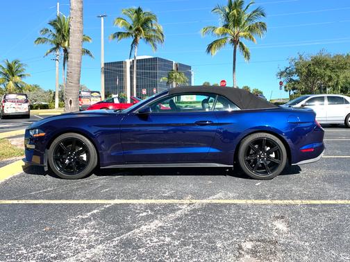 Blue 2019 Ford Mustang EcoBoost Premium