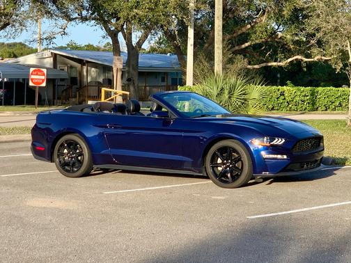 Blue 2019 Ford Mustang EcoBoost Premium