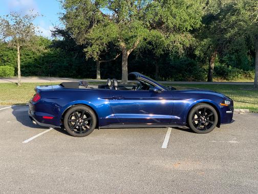 Blue 2019 Ford Mustang EcoBoost Premium