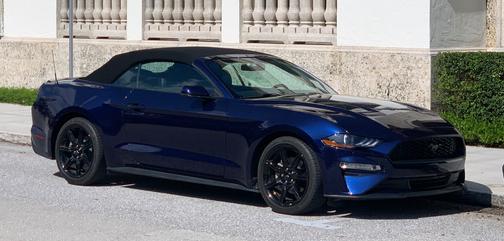 Blue 2019 Ford Mustang EcoBoost Premium