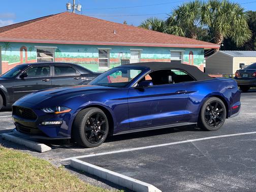 Blue 2019 Ford Mustang EcoBoost Premium
