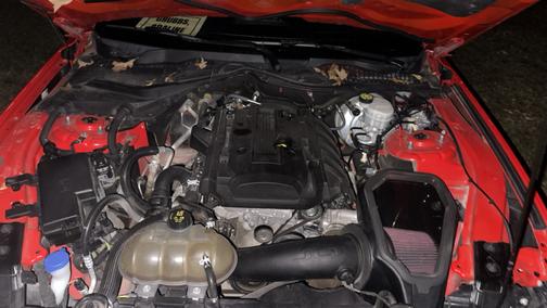 2019 Ford Mustang EcoBoost Premium