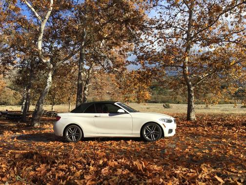 White 2016 BMW 228 i