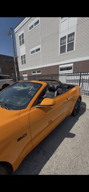 Orange 2019 Ford Mustang GT Premium