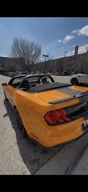 Orange 2019 Ford Mustang GT Premium