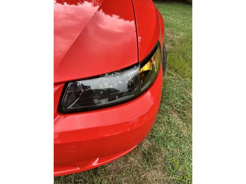 2001 Ford Mustang SVT Cobra