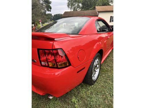2001 Ford Mustang SVT Cobra